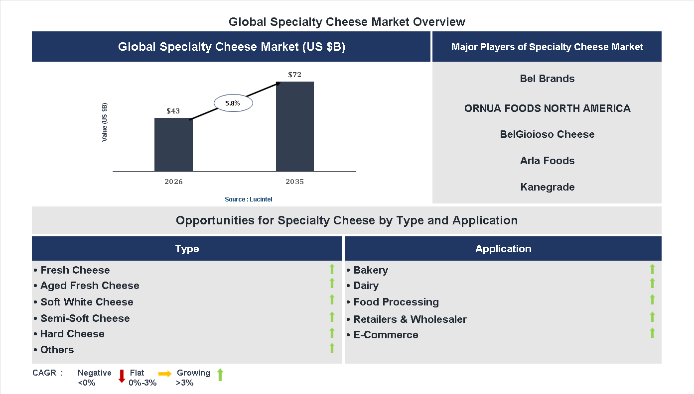 Specialty Cheese Market Trends and Forecast
